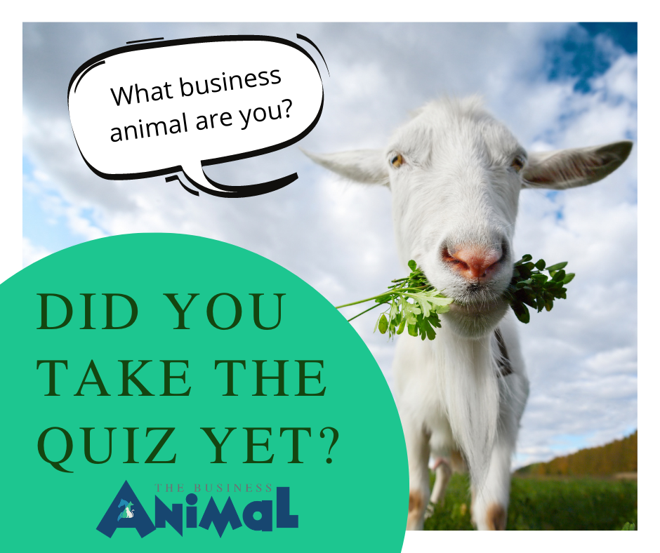 5 Reasons You Need to Follow The Business Animal Podcast to Boost your ...